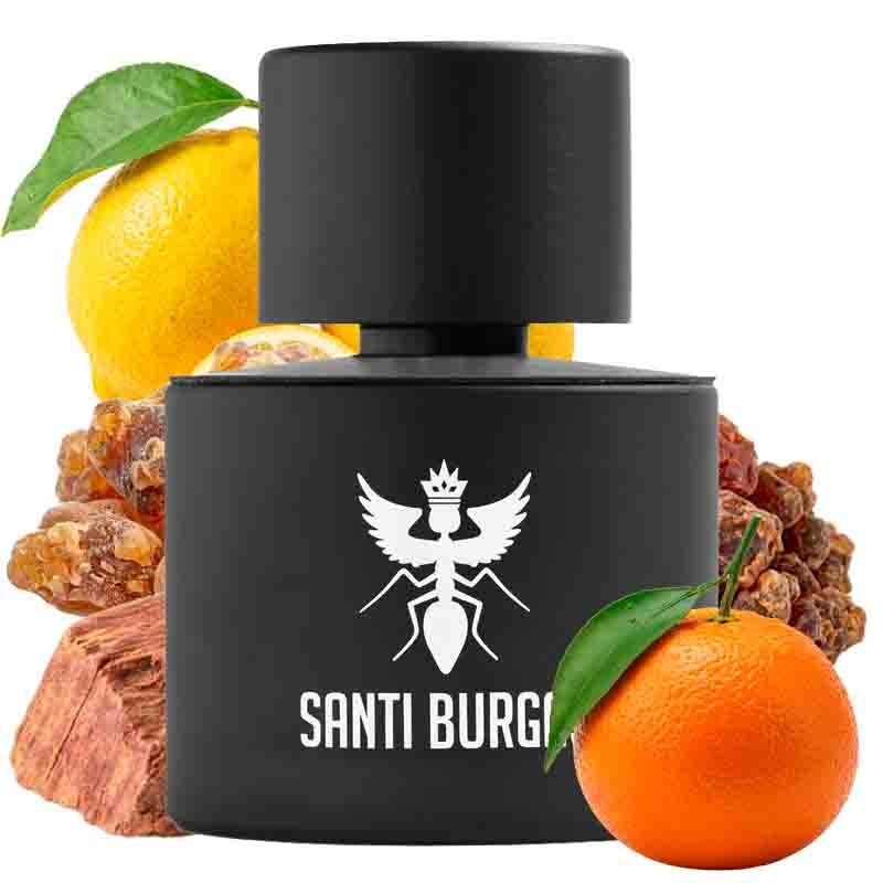 Palindrome I 100 ml - Santi Burgas
