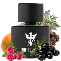 Palindrome III Eau de Parfum 100 ml - Santi Burgas Gratis frakt!