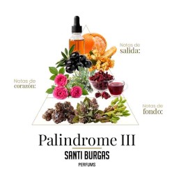 Palindrome III Eau de Parfum 100 ml - Santi Burgas Gratis frakt!