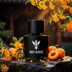 Palindrome III Eau de Parfum 100 ml - Santi Burgas Gratis frakt!