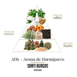 Set Primal Waters 3 x 3 ml - Santi Burgas