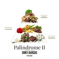 Set Palindrome 3 x 3 ml - Santi Burgas ¡Asesoría y Envíos Gratis!