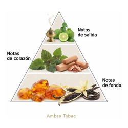 Ambre Tabac - Daniel Josier