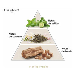 Menthe Fraiche - James Heeley
