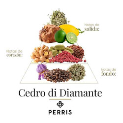 Cedro Di Diamante - Perris Monte Carlo