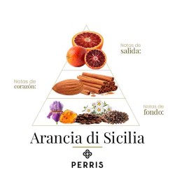 Arancia di Sicilia - Perris Monte Carlo ¡Asesoría y Envíos Gratis!