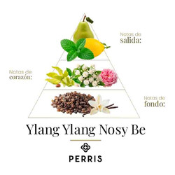 Ylang Ylang Nosy Be - Perris Monte Carlo
