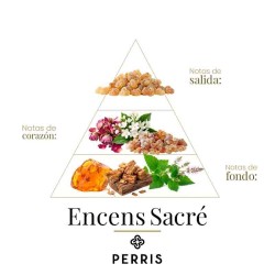 Sacrículo - Perris Monte Carlo Consulting e frete grátis!