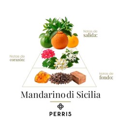 Mandarino di Sicilië - Perris Monte Carlo Advisory en gratis verzending!