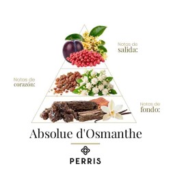 Absolut d'Osmanthe - Perris Monte Carlo Advisory och gratis frakt!