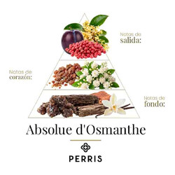Absolue d'Osmanthe - Perris Monte Carlo