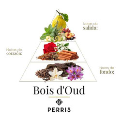 Bois D' Oud  - Perris Monte Carlo
