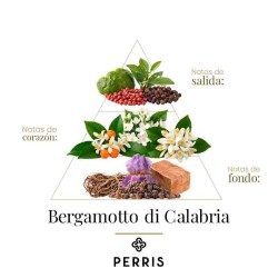 Bergamotto di Calabria - Perris Monte Carlo Advies en gratis verzending!