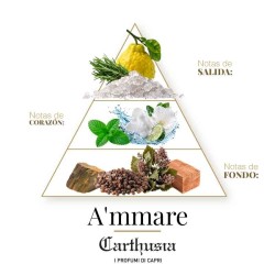 A'Mmarare - Carthusia Aconselhamento gratuito e remessas!