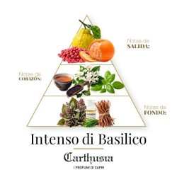 Intenso di basilico - Carthusia Aconselhamento gratuito e remessas!