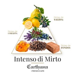 Intenso di Mirto - Carthusia