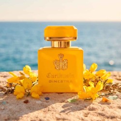 Intenso di Ginestra - Carthusia
