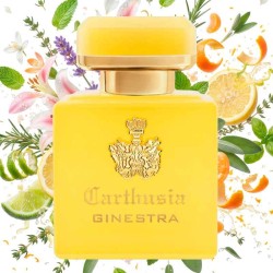 强烈的di ginestra  -  Carthusia 免费咨询和出货量！