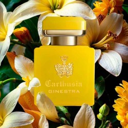 Intensywne perfumy di ginestra 50 ml - Carthusia | Perfumeria Laura - Darmowa wysyłka