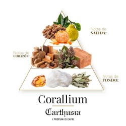 Coralium - Carthusia Aconselhamento gratuito e remessas!