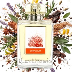 珊瑚 -  Carthusia 免费咨询和出货量！