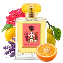 Ilumina a sirene - Carthusia Aconselhamento gratuito e remessas!