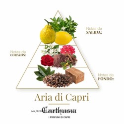 Aria di Capri - Carthusia Free advice and shipments!