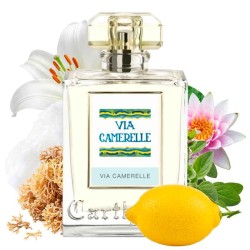 Via Camerelle - Carthusia