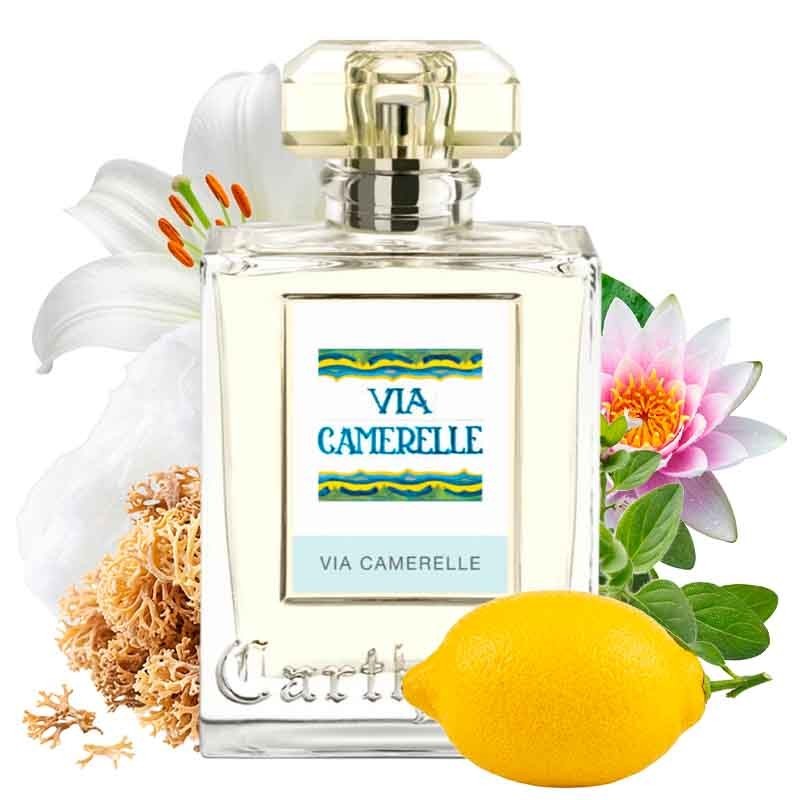 Via Camerelle - Carthusia