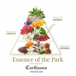 Essens av parken - Carthusia Gratis rådgivning och leveranser!