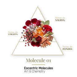 Molecuul 01 100 ml - Escentric Molecules Gratis verzending!