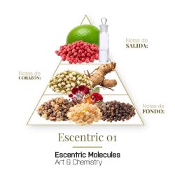 Escontric 01 EDT 100 ml - Escentric Molecules Frete grátis!