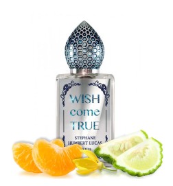 Souhaite de venir réalité 50 ml - Stephane Humbert Lucas Livraison gratuite!