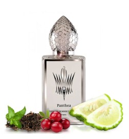 Pantthea 50 ml - Stephane Humbert Lucas Frete grátis!
