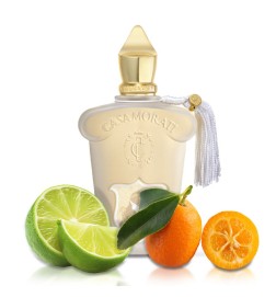 Casamorati - Lady Bianca Gratis verzending!