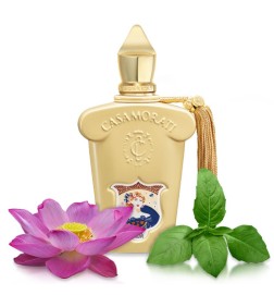 Casamorati - Fiore d'Ulivo Freies Verschiffen!