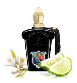 Casamorati -Regio Free Shipping!