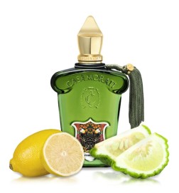 Casamorati - Fiero Freies Verschiffen!