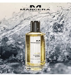 Intense Cedrat Boisé - Mancasa Free Shipping!