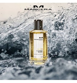 Cedrat Boise - Mancasa Frete Grátis!