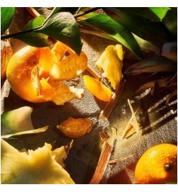 Apex Parfum - Red Advisory and Free Shipping!