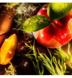 Diaghilev Parfum - Rödrådgivning och gratis frakt!