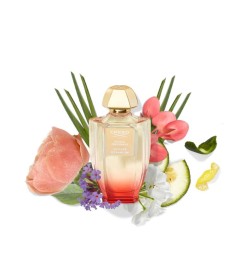 Vetiber Geranium - Creed Kostenlose Beratung und Sendungen!