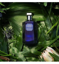 Paczula - Lorenzo Villoresi Darmowa porada i przesyłki!