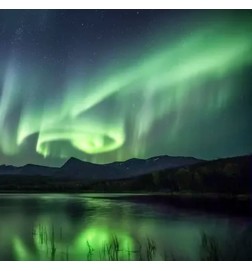 Dansende licht - Olfactive Studio Gratis advies en zendingen!