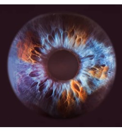 关闭 -  Olfactive Studio 免费咨询和出货量！