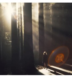 Humeur boisée- Olfactive Studio Conseils gratuits et envois!