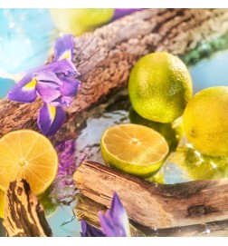 Oceania Eau de Parfum - Red Advice and free shipping!