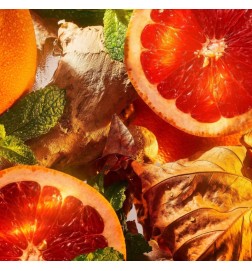 Burlington 1819 Eau de Parfum - Rouge