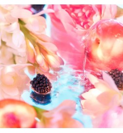 Elysium倒Femme EDP  - 红色| 香水劳拉 - 邮费全免